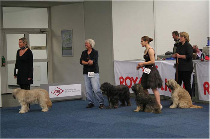 Amy, Urmel, Cobold und Mama Henna in Dortmund