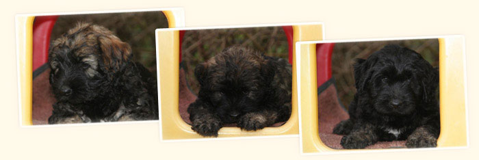 Portraits 8. Woche